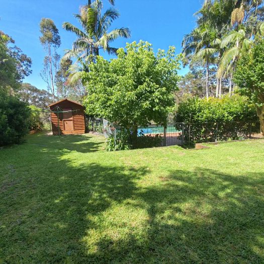 13 Boree Road, Forestville