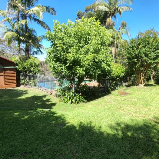 13 Boree Road, Forestville